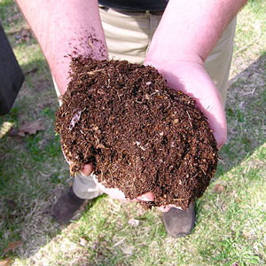 compost