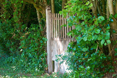 jardin municipal Jardin municipal